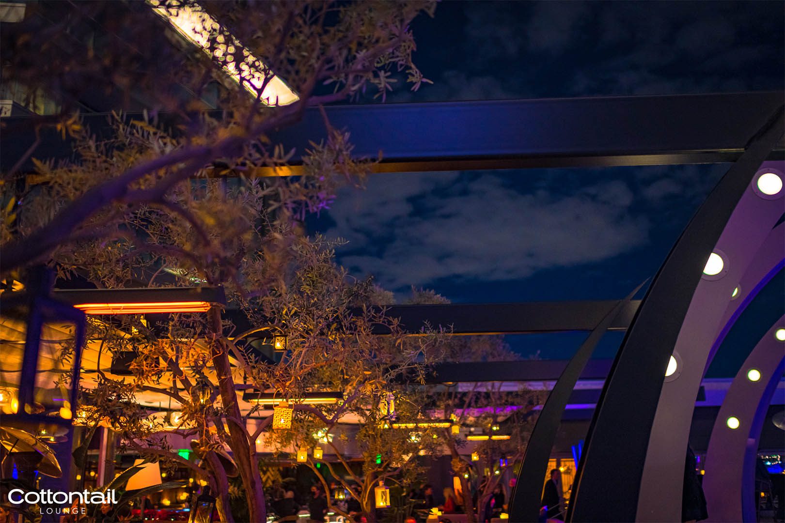 Cottontail Lounge rooftop at W Scottsdale
